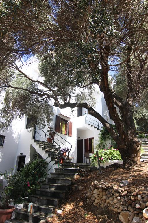 Eleonas Apartment ปลาเกียส ภายนอก รูปภาพ